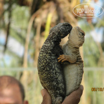 фото из отзыва ID 1087075