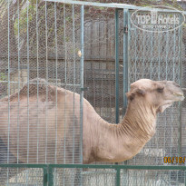 фото из отзыва ID 1087075