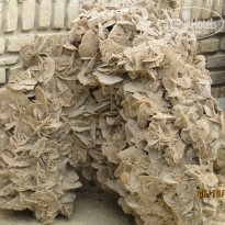 фото из отзыва ID 1087075