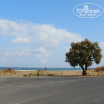 фото из отзыва ID 1087082