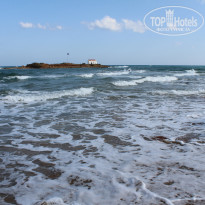 фото из отзыва ID 1087202