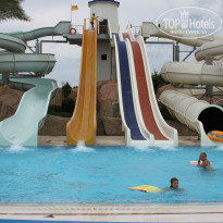 фото из отзыва ID 1087438