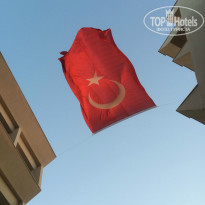 фото из отзыва ID 1087088