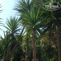 фото из отзыва ID 1088201