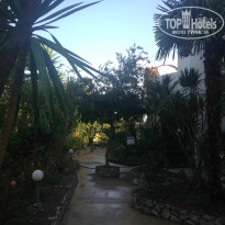 фото из отзыва ID 1088201