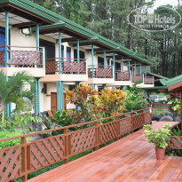 фото из отзыва ID 1088652