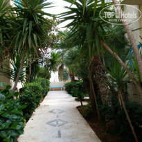 фото из отзыва ID 1088887