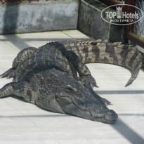 фото из отзыва ID 1088978