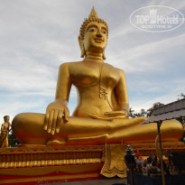 фото из отзыва ID 1088986