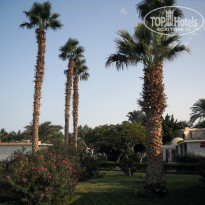 фото из отзыва ID 1086862