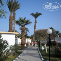 фото из отзыва ID 1086862