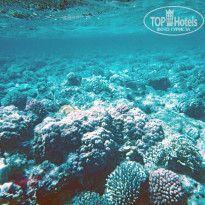 фото из отзыва ID 1086862