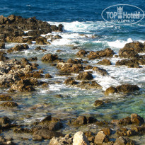 фото из отзыва ID 1089506