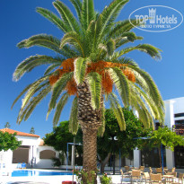 фото из отзыва ID 1089506