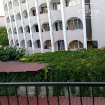 фото из отзыва ID 1089558