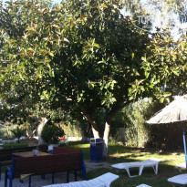 фото из отзыва ID 1089605