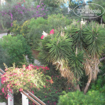 фото из отзыва ID 1089633