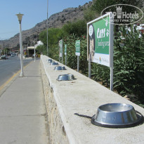 фото из отзыва ID 1089917