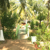 фото из отзыва ID 1086927