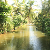 фото из отзыва ID 1086927