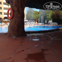 фото из отзыва ID 1086176