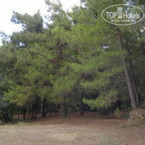 фото из отзыва ID 1089555