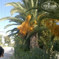 фото из отзыва ID 1089555