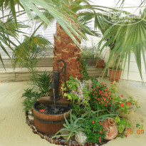 фото из отзыва ID 1082142