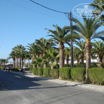 фото из отзыва ID 1083514