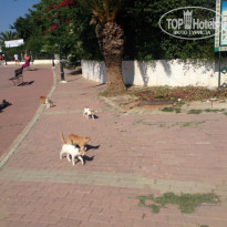 фото из отзыва ID 1089276