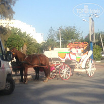 фото из отзыва ID 1089276