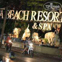 фото из отзыва ID 1084338