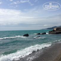 фото из отзыва ID 1085726