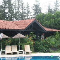 фото из отзыва ID 109728