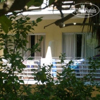 фото из отзыва ID 1090034