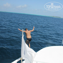 фото из отзыва ID 1090046