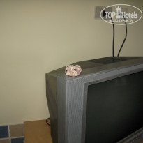 фото из отзыва ID 1090426