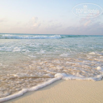 фото из отзыва ID 1090452