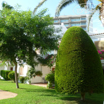 фото из отзыва ID 1090475