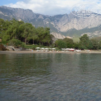 фото из отзыва ID 1090519