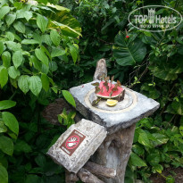 фото из отзыва ID 1090538