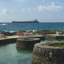 фото из отзыва ID 1090538