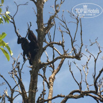 фото из отзыва ID 1090538