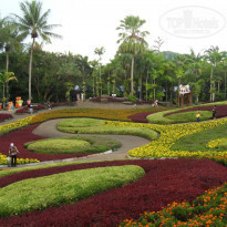 фото из отзыва ID 1090600