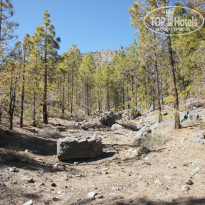 фото из отзыва ID 1090625