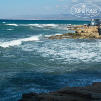 фото из отзыва ID 1091006