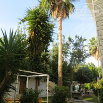 фото из отзыва ID 1090160