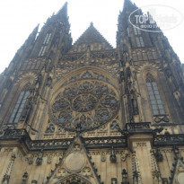 фото из отзыва ID 1091238