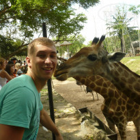 фото из отзыва ID 1091258