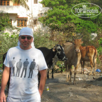 фото из отзыва ID 1091309